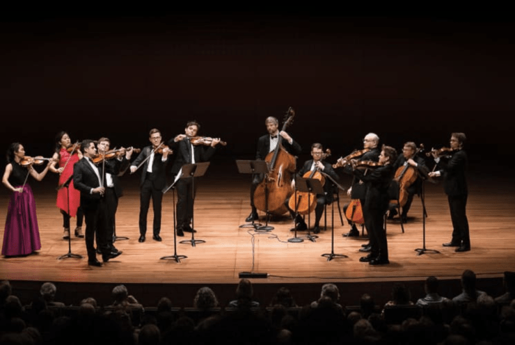 Haydn's Surprise: String Quartets, Op.76 Haydn (+3 More)