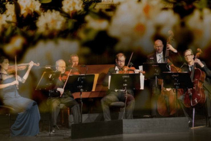 Die vier Jahreszeiten: The Four Seasons Vivaldi