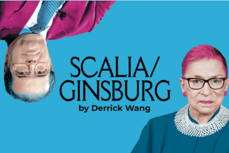 Scalia/Ginsburg Wang, D.