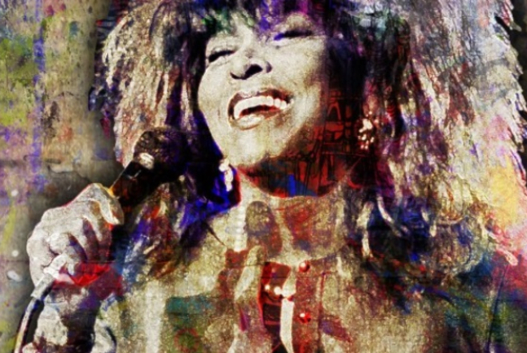 THE MUSIC OF TINA TURNER: Disco Inferno Ron Kersey / Leroy Green (+18 More)