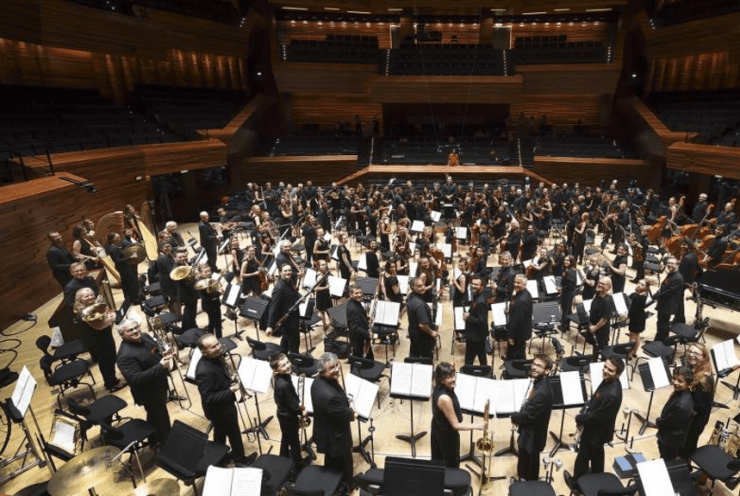 Viva l'Orchestra !: Concert Various