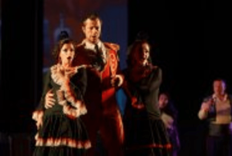 Carmen Flamenco: Carmen Bizet