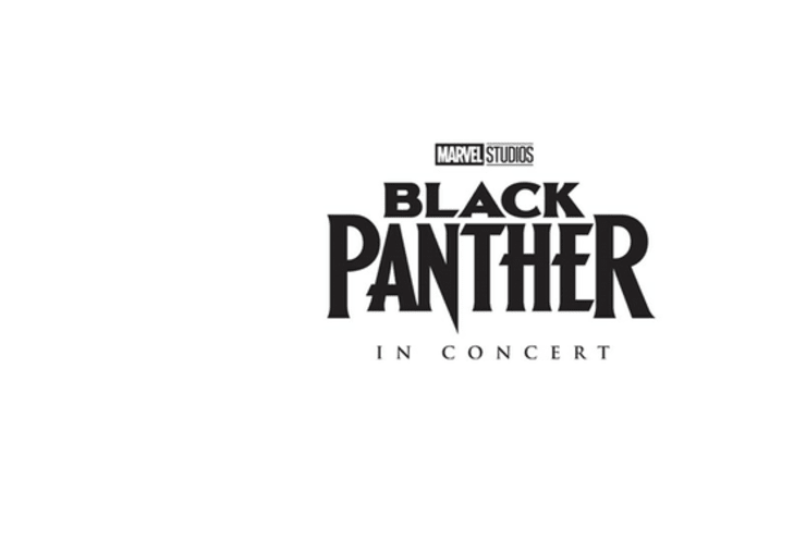 Black Panther in Concert: Black Panther OST Göransson