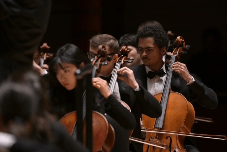 Orchestral World Premieres: Bruises Johnson, M. M. (+3 More)