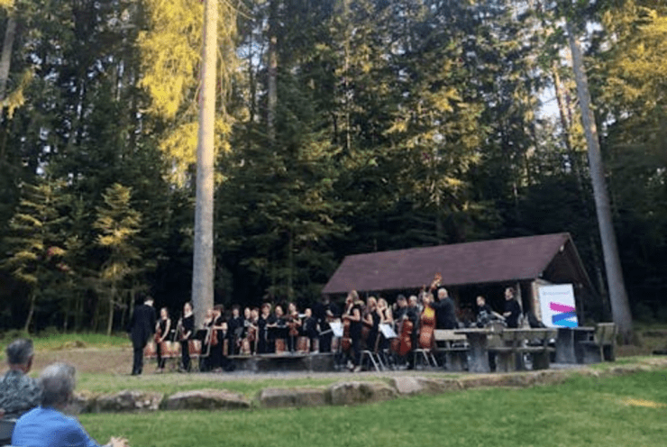 Forest Concert - Hymns: Concert Various