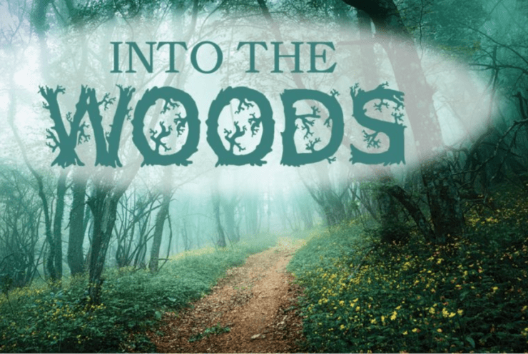 Into the Woods Sondheim