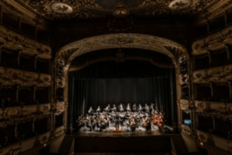 Operetta Mon Amour: Der Zigeunerbaron Strauss II (+9 More)