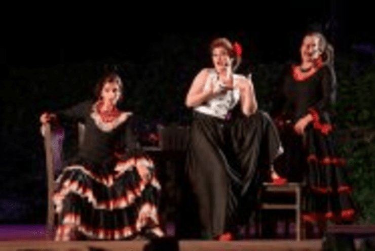 Carmen Flamenco: Carmen Bizet