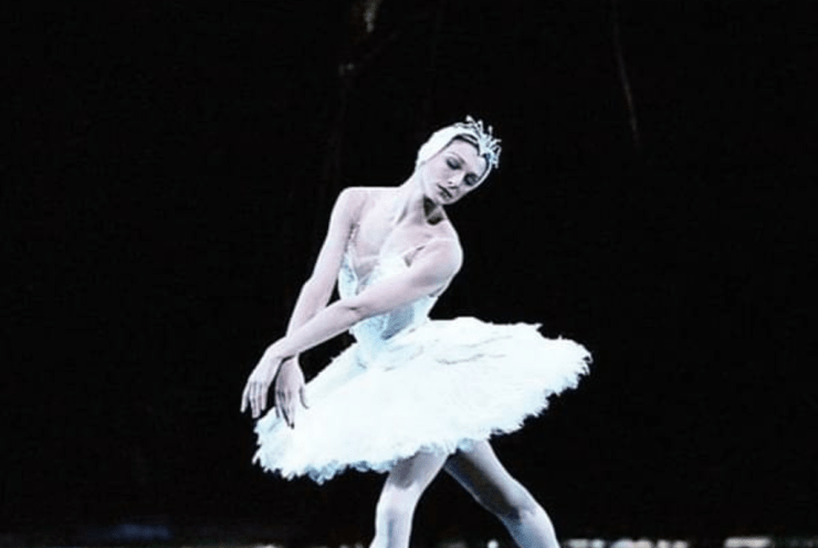 Best Of Ballet: The Nutcracker Tchaikovsky, P. I. (+6 More)