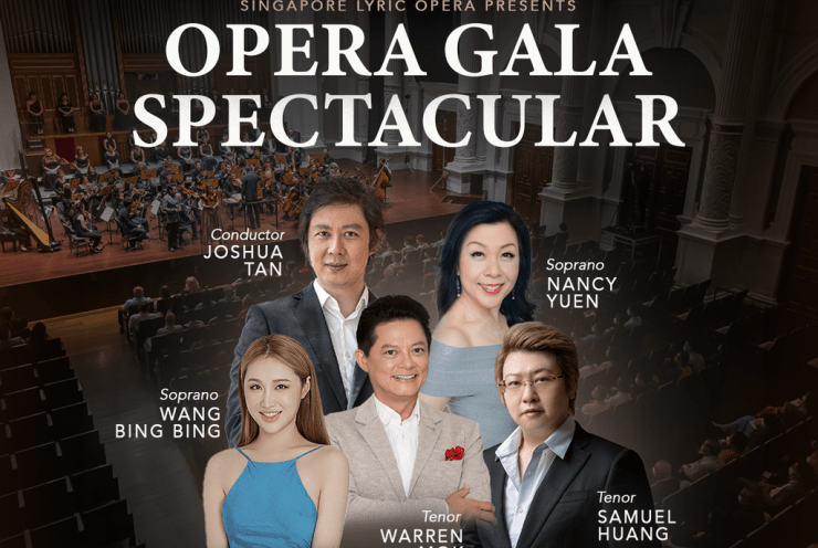 Opera Gala Spectacular: Opera Gala Various