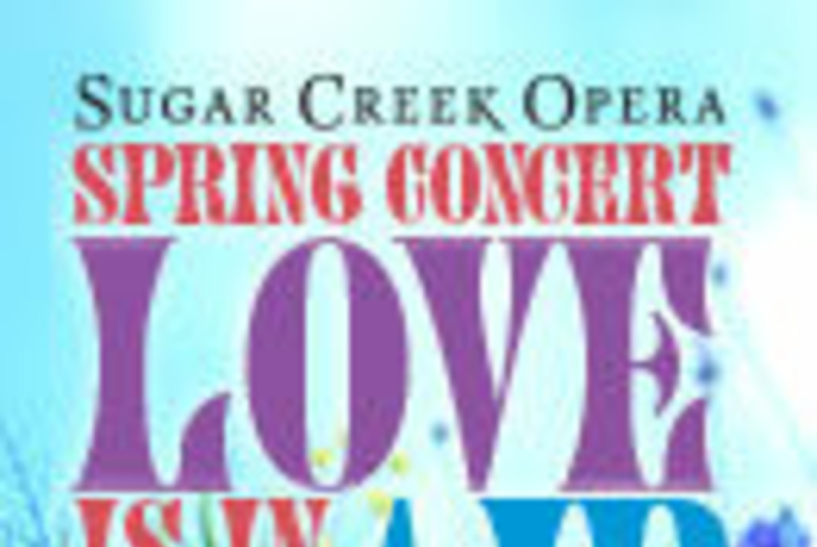 Love is in the Air: Concert Various
