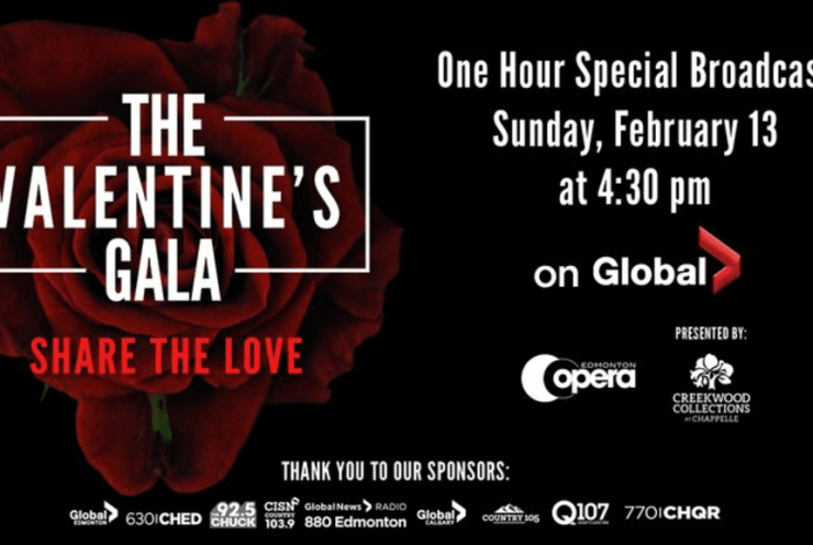 The Valentine Gala: Concert Various