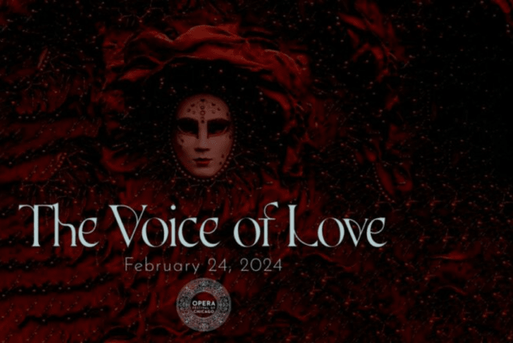 The Voice of Love: Various Gala