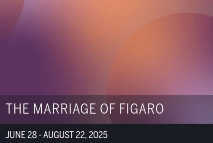 The Marriage Of Figaro: Le nozze di Figaro Mozart