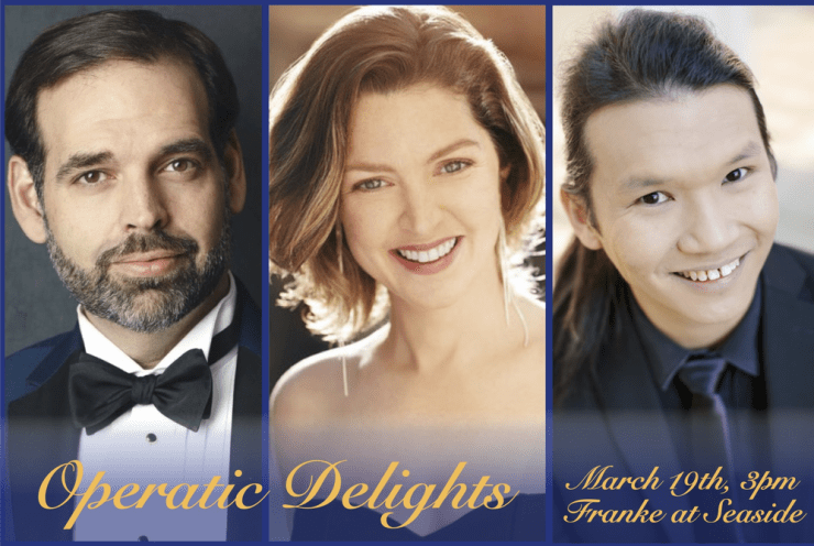 Operatic Delights: Concert Various