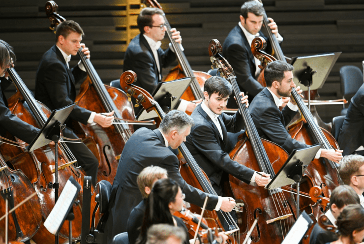 Münchner Philharmoniker – Marcon Kraus / Pergolesi / Mozart: Concert Various
