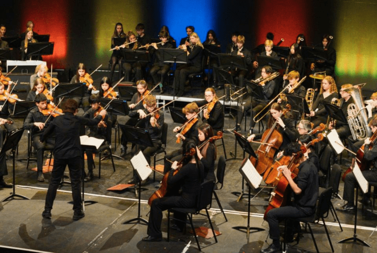 2 Cellos Concert in 2025