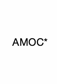 American Modern Opera Company (AMOC)