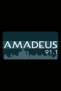 Orquesta de Cámara "Amadeus 91.1 Cultura Musical"
