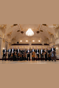Slovenský Komorný Orchester