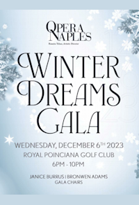 Winter Dreams Gala
