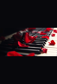 Romantic Valentine’s: Romeo and Juliet