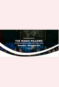 The Magic Pillows