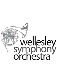 Wellesley Symphony Orchestra
