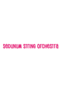 Le Sedunum String Orchestra
