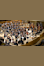 Orquesta Nacional De España