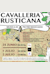 Cavalleria rusticana -  (Plattelandse ridderlijkheid)