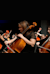 Festival international de violoncelle de Beauvais
