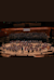 La Orquesta Sinfónica Nacional y el Coro Polifónico Nacional interpretan la sinfonía Nº 2 de Mahler