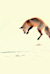 Příhody lišky Bystroušky -  (La Petite Renarde rusée)