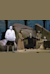 Polifemo, HelN 31 -  (Polyphemus)