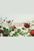 Through Roses