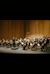 Orquesta Sinfónica de Pozuelo de Alarcón - La Lira