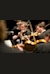 Tschechische Kammerphilharmonie, Prag Vivaldi - »die Vier Jahreszeiten«