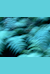 CNDM. Les Accents: "Serpentes Ignei In Deserto" (J. A. Hasse)