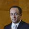 Riccardo Minasi